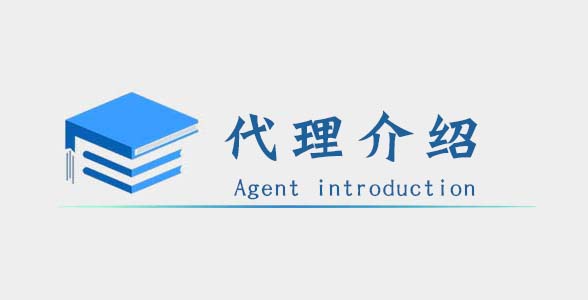 团队代理介绍